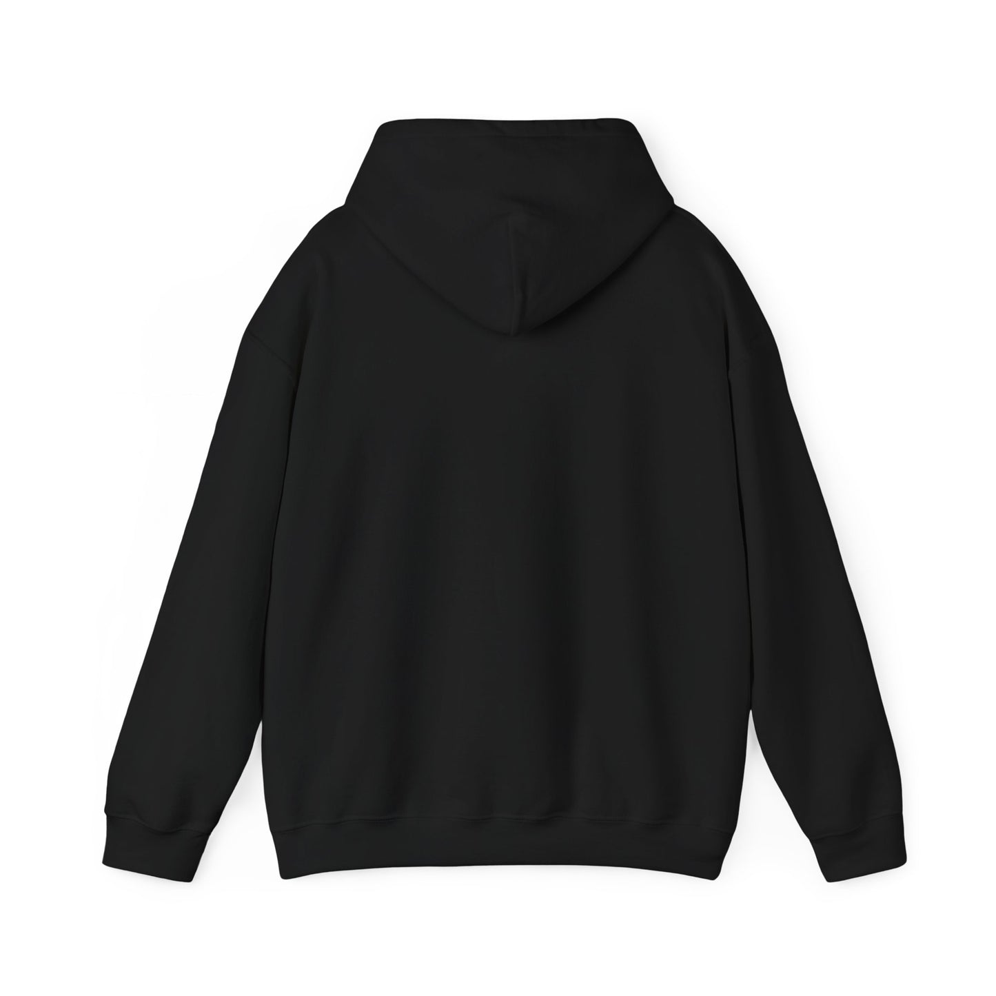 Can't Play Two Sides Hoodie